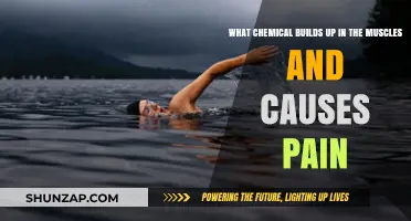 Lactic Acid: The Chemical Behind Muscle Pain and Fatigue Explained