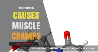 Unraveling Muscle Cramps: The Chemical Culprit Behind the Pain