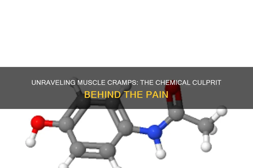 what chemical causes muscle cramps