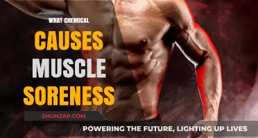 Unraveling Muscle Soreness: The Role of Lactic Acid Explained