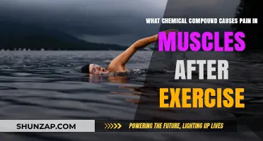 Lactic Acid: The Chemical Culprit Behind Post-Workout Muscle Soreness