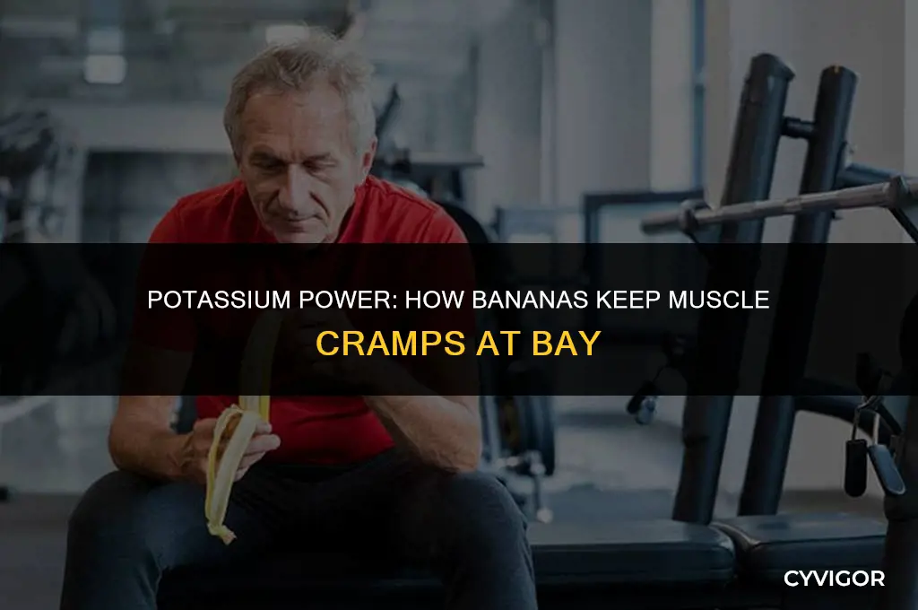 what chemical in bananas stops muscle cramps