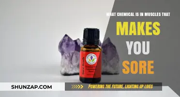Muscle Soreness Unveiled: The Chemical Culprit Behind Post-Workout Pain