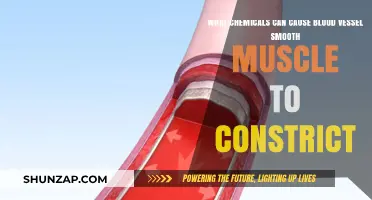 Chemicals Triggering Blood Vessel Smooth Muscle Constriction: A Comprehensive Guide