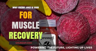 Savor the Recovery: Best Cherry Juices for Muscle Relief Post-Workout