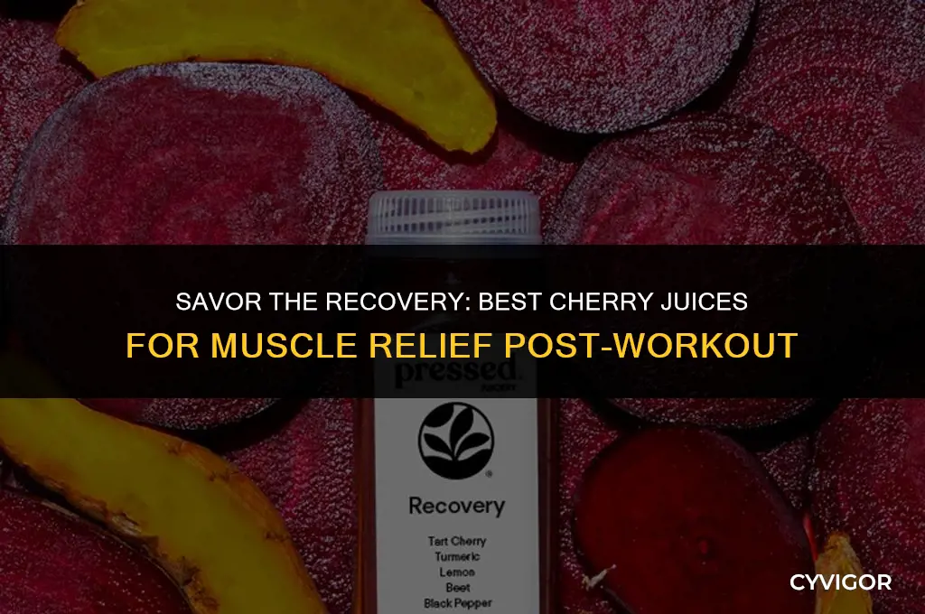 what cherry juice is good for muscle recovery