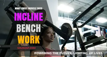 Incline Bench Press: Targeting Upper Chest Muscles for Strength and Definition