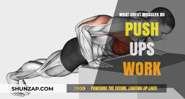 Push-Ups: Targeting Chest Muscles for Strength and Definition