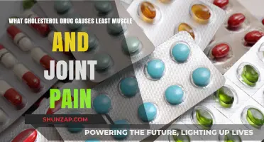 Minimizing Discomfort: Cholesterol Medications with Lowest Muscle and Joint Pain Risk