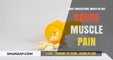 Cholesterol Medications Without Muscle Pain: Safe Statin Alternatives