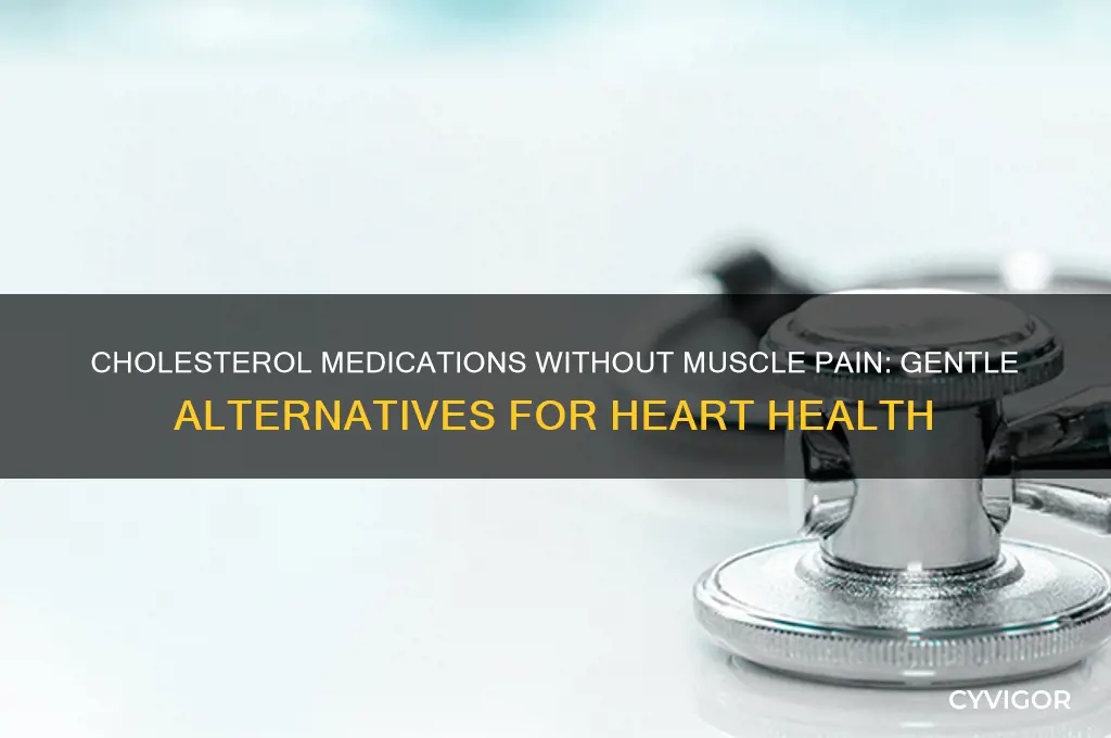 what cholesterol medcation that doesnt cause muscle pain tenderness