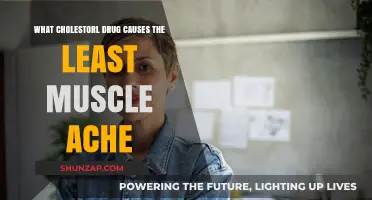 Minimizing Muscle Pain: The Cholesterol Drug with Fewest Side Effects