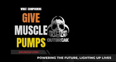 Muscle Pumps: The Compounds Behind the Burn