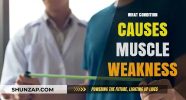 Understanding Muscle Weakness: Causes, Symptoms, and Treatment Options