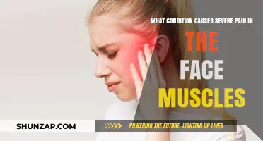 Understanding Trigeminal Neuralgia: The Cause of Severe Facial Muscle Pain