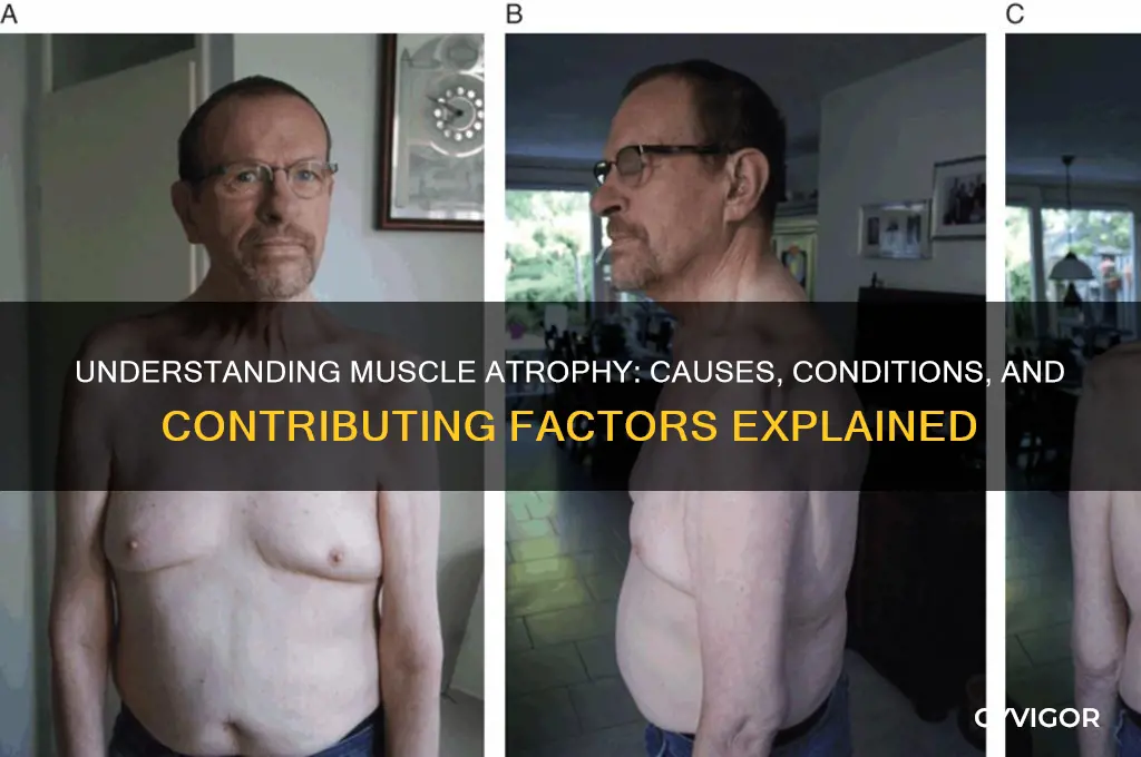 what conditions cause muscle atrophy