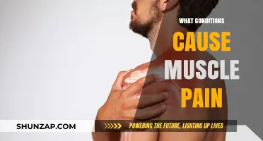 Understanding Muscle Pain: Common Conditions and Causes Explained