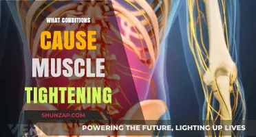 Understanding Muscle Tightening: Causes, Conditions, and Effective Relief Strategies