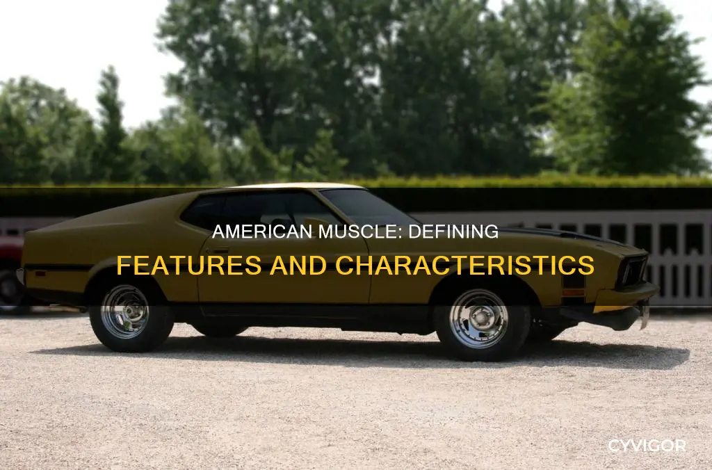 what constitutes american muscle