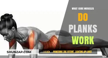 Plank Power: Unlocking Core Muscles for Strength and Stability