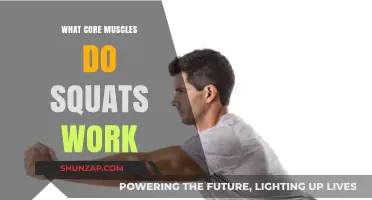 Squats: Unlocking Core Strength and Targeted Muscle Engagement Explained