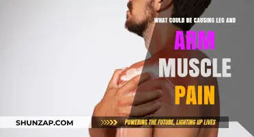 Understanding Leg and Arm Muscle Pain: Common Causes and Solutions