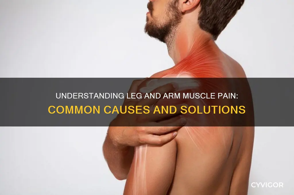 what could be causing leg and arm muscle pain