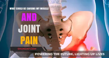 Unraveling the Mystery: Common Causes of Muscle and Joint Pain