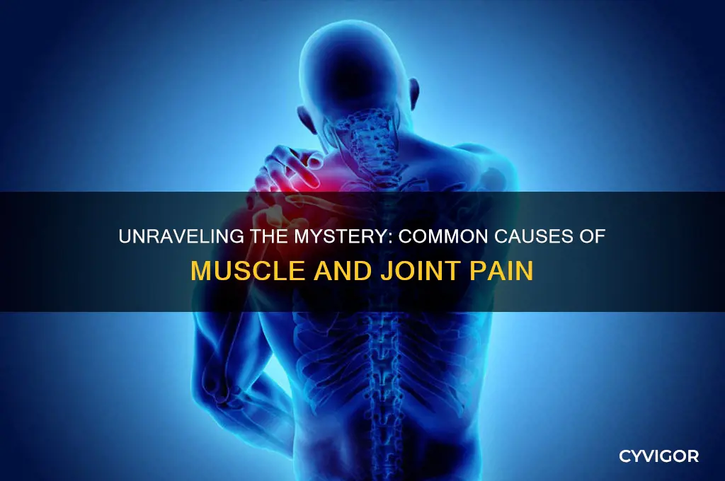 what could be causing my muscle and joint pain