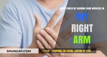 Sore Right Arm Muscles: Possible Causes and Remedies Explained