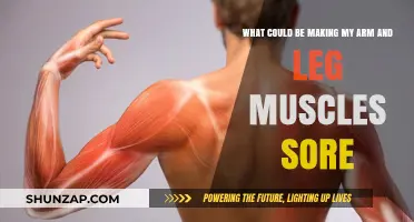 Unraveling Muscle Soreness: Causes of Arm and Leg Discomfort Explained