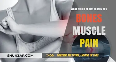 Understanding Persistent Bone and Muscle Pain: Common Causes and Solutions