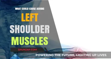 Understanding Causes of Persistent Left Shoulder Muscle Pain and Discomfort