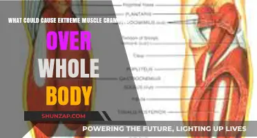 Unraveling the Mystery: Causes of Full-Body Muscle Cramps Explained