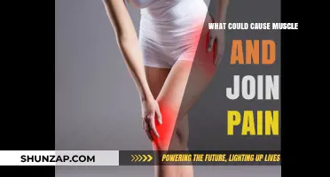Understanding Muscle and Joint Pain: Common Causes and Triggers
