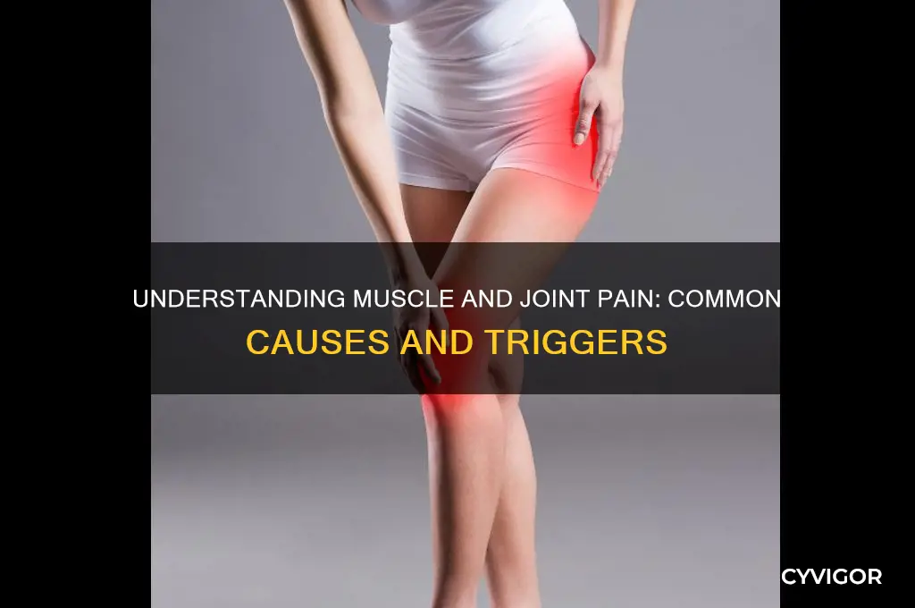 what could cause muscle and join pain
