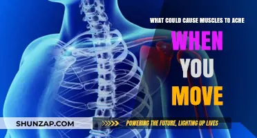 Why Muscles Ache When Moving: Common Causes and Remedies