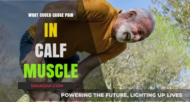 Calf Muscle Pain Causes: Understanding the Root of Your Discomfort