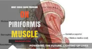 Understanding Piriformis Pressure: Causes and Contributing Factors Explained