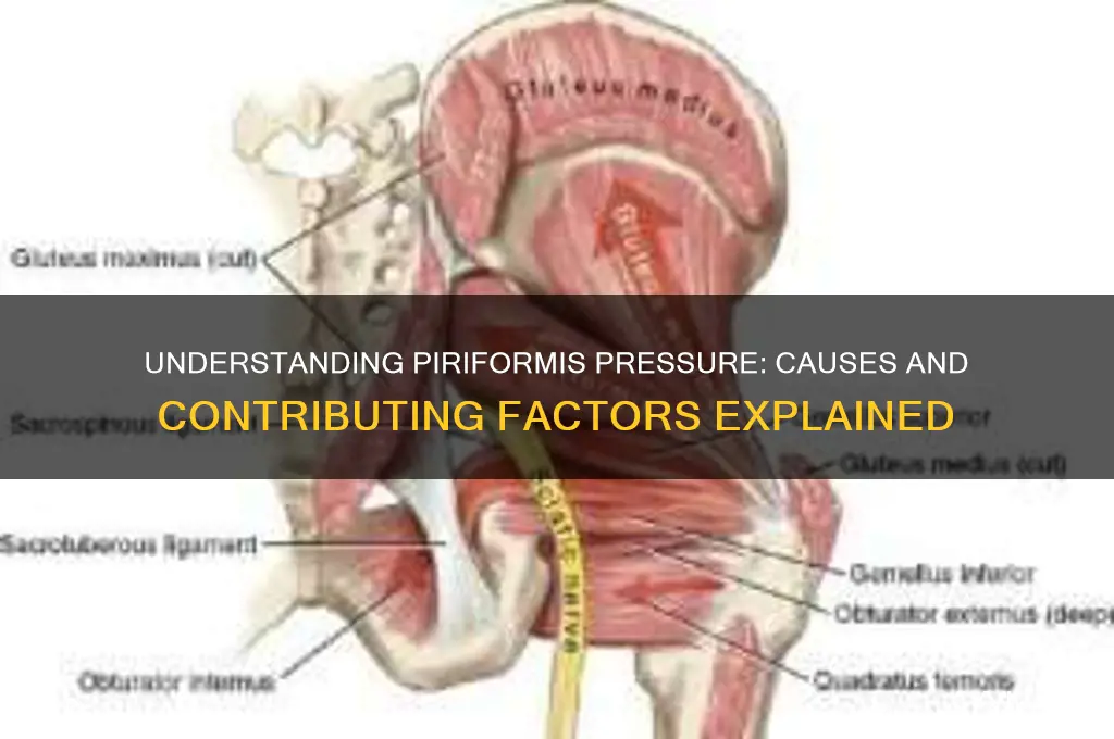 what could cause pressure on piriformis muscle