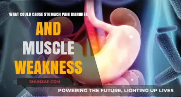 Stomach Pain, Diarrhea, and Muscle Weakness: Possible Causes Explained