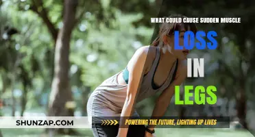 Sudden Muscle Loss in Legs: Causes and Concerns Explained