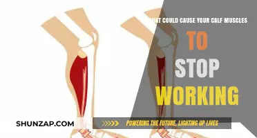 Why Your Calf Muscles Suddenly Stop Working: Causes and Solutions