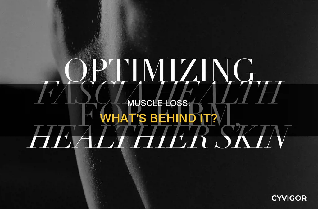 what covers muscles thin
