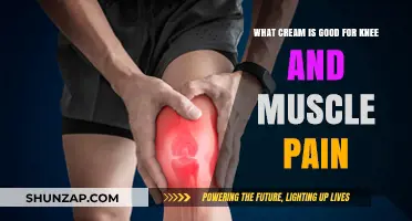 Effective Creams for Relieving Knee and Muscle Pain: Top Picks