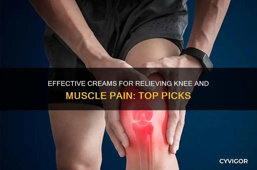 what cream is good for knee and muscle pain