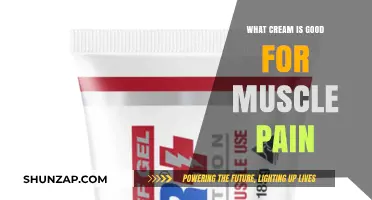 Top Creams to Relieve Muscle Pain: A Comprehensive Guide