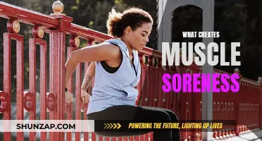 Understanding Muscle Soreness: Causes and Prevention