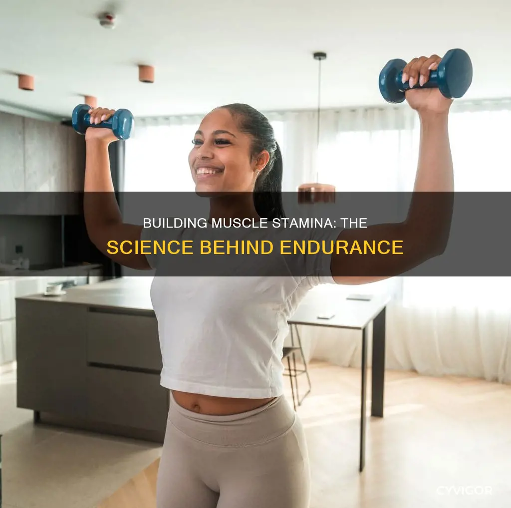 what creates muscle stamina