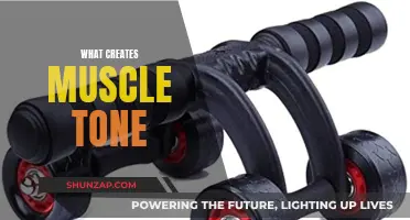 How to Get Muscle Tone: The Ultimate Guide